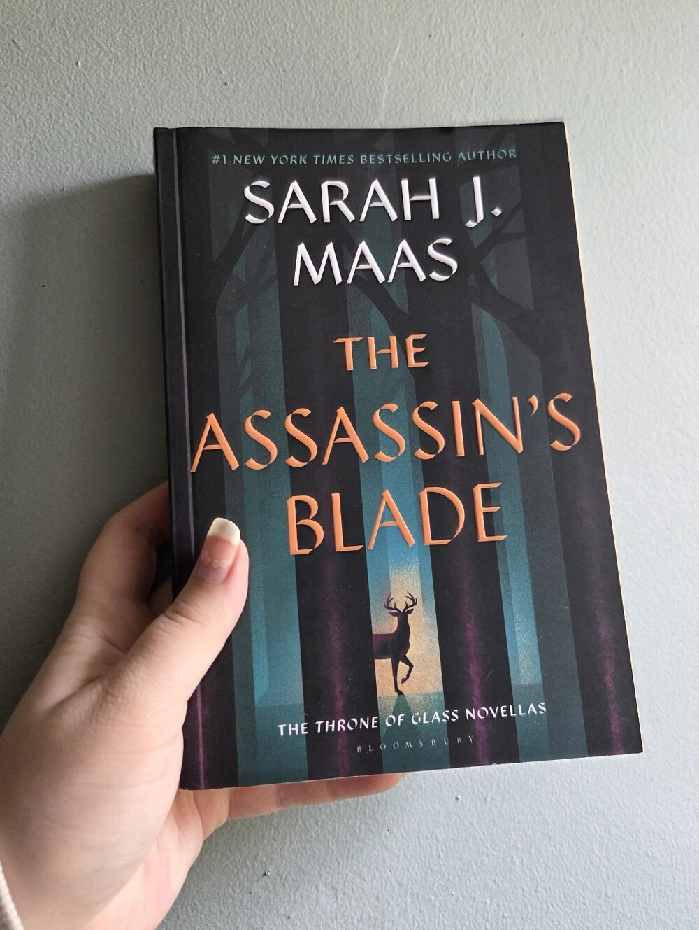 Assassin's Blade - By Sarah J. Maas, Soft Cover, Throne Of Glass Series